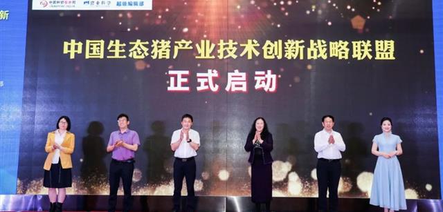 重磅！中国生态猪产业技术创新战略联盟在武汉成立 北京凯发国际集团当选理事长单位